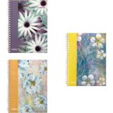 Özgün Earths Palette A4 Pp Kapak Spiralli Defter 160 Yp. Kareli - 3 Adet