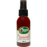ÖZGÜN Kantaron Çeşnili Zeytinyağı (100 Ml-Sprey Şişe)