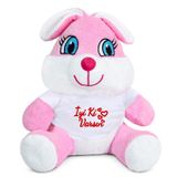 Özgüner Oyuncak 20-25 cm Tişörtlü Pelüş Ayıcık, 20 cm Teddy Bear, Yumuşak Ayıcık, Sevgiliye Hediye,Ayı Teddy,Peluş Ayıcık,Plush Toys,Oturan ayı,Ofis Hediyesi,Renkli Ayıcık,İyi ki Varsın,Tişörtlü,Ayıcık (Tavşan)