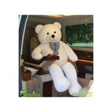 Özgüner Oyuncak Pandamkee Dev Büyük Peluş Ayıcık 170 cm Hediyelik Ayı (%100 Yerli)
