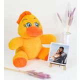 Özgüner Oyuncak Şövaleli Ayıcık,Çerçeveli Pelüş Ayıcık,Ofis Hediyesi fotoğraflı Ayıcık,20-25 cm Ayıcık,Civciv,Eşek,Maymun,İnek,Fil,Panda,Tavşan,Hediye (Ördek)
