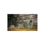 Ozk Atelier Dekoratif Kristal Cam Üçlü Lotus(Nilüfer)Mumluk Şeffaf Gold