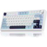 Ozka Concept Aula F75 Mekanik Rgb Tkl Reaper Switch Makrolu Swap Klavye Lacivert - 001-Renkli