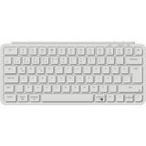 Ozka Concept Keychron B1 Pro 75 Tkl Ultra-Slim 2.4 Ghz Türkçe Klavye - 001-Renkli