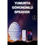 Ozka Concept Yumurta Şeklinde Su Dalgalı Speaker Lamba Renkli Şarjlı