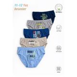 Özkan 31801 5'li Paket Erkek Çocuk Karışık Renkli Desenli Pamuklu Yumuşak Rahat Slip Külot KARIŞIK RENK