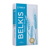 ÖZMEN BELKIS BAKLAVALIK - BÖREKLİK UN (25 KG)