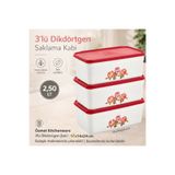 Özmet Desenli Saklama Kabı Seti Mutfak Erzak Kabı Buzdolabı Düzenleyici 3'lü Set (2,50 Litre)