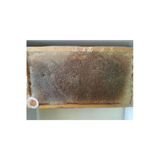 Ozmuş 1 kg Sivas Ozmuş Glikozsuz Petek Bal
