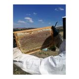 Ozmuş Bal 3,4 kg Çıta Bal