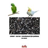 Özpati Sade 250 Gr Papağan Yemi