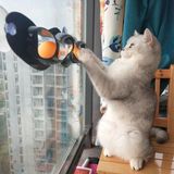 Öztekinler Zampa Iki Toplu Vantuzlu Kedi Oyun Tüneli
