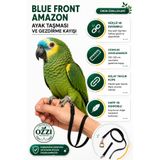ozzipetshop Blue Front Amazon Papağanı Ayak Tasmasi Gezdirme Tasmasi