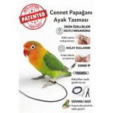 ozzipetshop Cennet Papağanı Sevda Papağanı Ayak Bilek Tasması