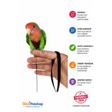 ozzipetshop Cennet Papağanı Tasması Ayarlanabilir Gezdirme Tasması Kırmızı Siyah
