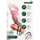 ozzipetshop Gul Kakadu Papağanı Ayak Bilek Tasması Güvenli Gezdirme Ayarlanabilir Papağan Tasması