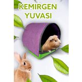 ozzipetshop Gunepig, Ginepig, Cuce Tavsan Sicak Tutacak Dinlenme ve Uyuklama Evi Yuvasi