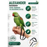 ozzipetshop İskender Papağanı Ayak Tasması Alexander Papağan Gezdirme Tasması