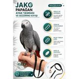 ozzipetshop Jako Papağan Ayak Tasması Gezdirme Papağan Tasması
