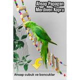 ozzipetshop Jako Papagan Oyuncak Dogal Ahsap Merdiven 50 Cm