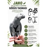 ozzipetshop Jako Papağan Tasması Ayarlanabilir Gezdirme Tasması Hafif Güvenli
