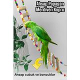 ozzipetshop Jako Papağanı Doğal Ahşap Merdiven Oyuncağı 50 cm