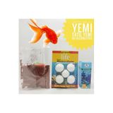 ozzipetshop Japon Balıgı Için Granul Yem Tatil Yemi Su Düzenleyici Seti