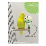 ozzipetshop Kuş Oyuncak Zilli Top