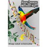 ozzipetshop Lori Cennet Sultan Papağanı Doğal Ahşap Merdiven Köprü 50 cm