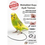 ozzipetshop Muhabbet Kuşu Ayak Bilek Tasması Güvenli Gezdirme Ayarlanabilir
