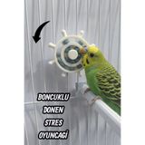 ozzipetshop Muhabbet Kuşu Dönen Stres Çarkı Boncuklu Hareketli Kuş Oyuncağı