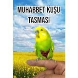 ozzipetshop Muhabbet Kuşu Için Özel Gezdirme Dolastırma Tasması