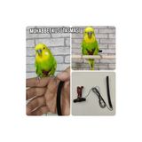 ozzipetshop Muhabbet Kuşu Tasmasi Kırmızı Siyah + Süpriz Hediye