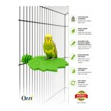 ozzipetshop Muhabbet Kuşu Tünek Yaprak Tünek Doğal Tasarım Sultan Cennet Papağanı Kafes Tüneği Çift Taraflı