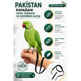 ozzipetshop Pakistan Papağanı Ayak Tasması Gezdirme Papağan Tasması