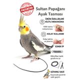 ozzipetshop Sultan Papağanı Ayak Bilek Tasması