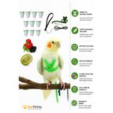 ozzipetshop Sultan Papağanı Tasması Ayarlanabilir Mikrofiber Gezdirme Tasması 140 cm