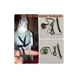 ozzipetshop Sultan Papağanı Tasması Özel Patentli Kuşu Koruyan Tasarım