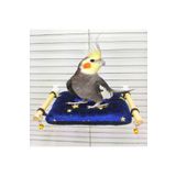 ozzipetshop Sultan Papağanı Yastıklı Dinlenme Tüneği