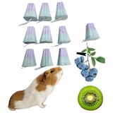 ozzipetshop Tum Kemirgenler icin Meyveli Mineralli Kemirme Tasi 10 adet