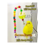 ozzipetshop Zilli Kuş Topu Hareketli Tunekli Kuş Oyuncagi