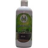 P Parla Sidir Özlü Doğal Bitkisel Şampuan - 400 ml | Arındırıcı, Saç Dökülmesini Önleyici & Kepeğe Karşı Etkili