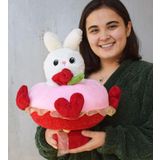 Pababo Pandamkee Peluş Tavşan Sevgi Buketi Ve Hediye Seti Sevgililer Günü Doğum Günü Hediye