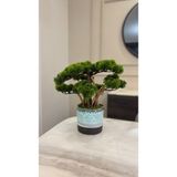 Pablito Home Yapay Bonsai Ağacı Saksılı - El Yapımı 35 cm - Açık Yeşil