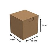Packanya 15x15x15 - 25 Adet Kilitli E Ticaret Karton Kargo Kutusu