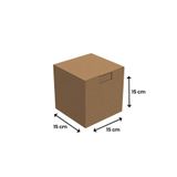 Packanya 15x15x15 - 50 Adet Kilitli E Ticaret Karton Kargo Kutusu