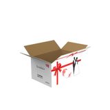 Packanya 58x38x30-10 Adet Çeyiz Kolisi - Gelin, Damat Bohça Kolisi