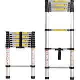Packtech Alüminyum Teleskopik Merdiven 2.6 Metre - 9 Basamak - gri