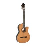 Paco Castillo Klasik Gitar Mod-234te