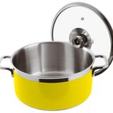Paderno 20H 10 cm Sarı Kapaklı Tencere